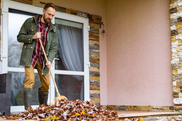 Debris Removal in Dasher, GA